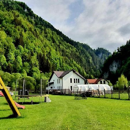 Casa Petruta Dambovicioara Hotel Podu Dimbovitei Luaran gambar