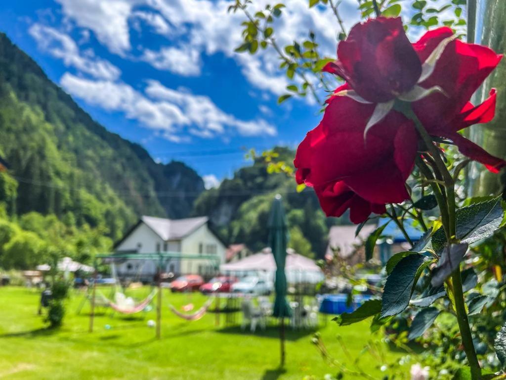 Casa Petruta Dambovicioara Hotel Podu Dimbovitei Luaran gambar
