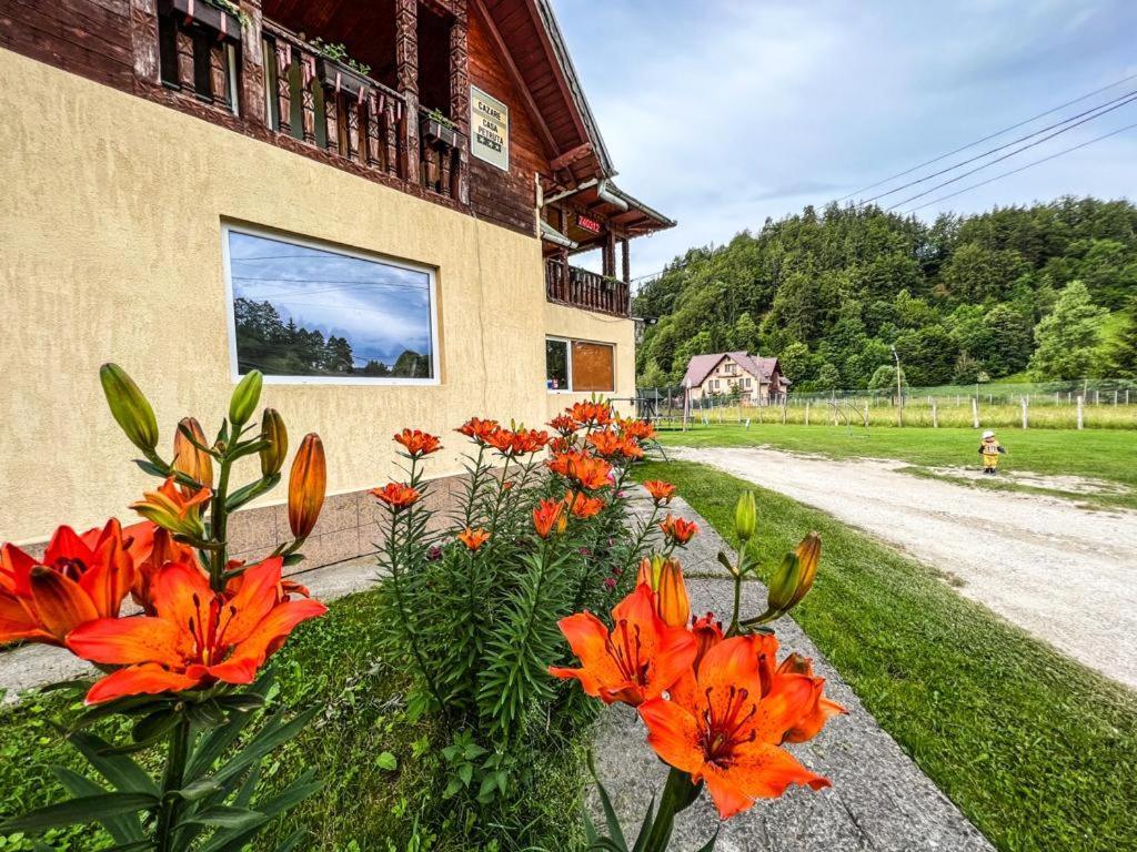 Casa Petruta Dambovicioara Hotel Podu Dimbovitei Luaran gambar