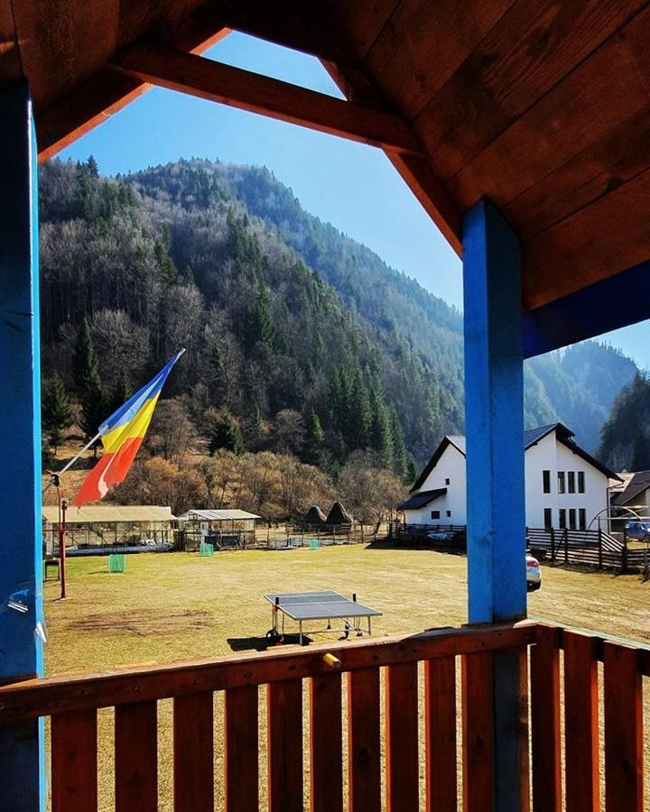 Casa Petruta Dambovicioara Hotel Podu Dimbovitei Luaran gambar