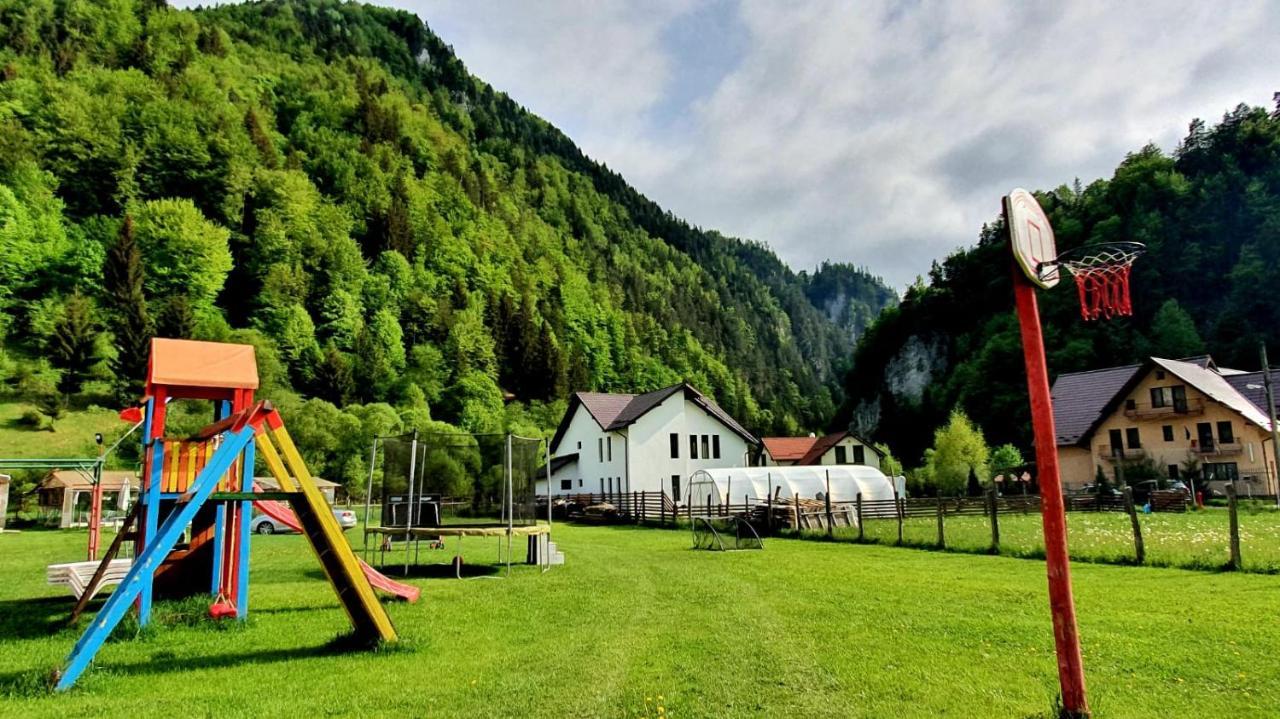 Casa Petruta Dambovicioara Hotel Podu Dimbovitei Luaran gambar