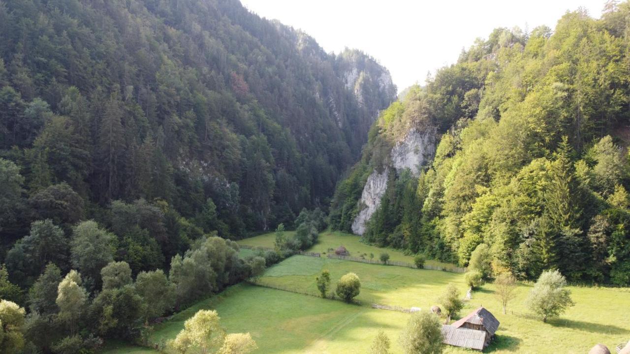 Casa Petruta Dambovicioara Hotel Podu Dimbovitei Luaran gambar